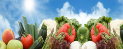 Benefits of raw food post header